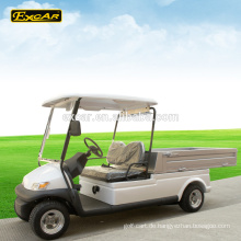 2-Sitzer elektrische Golfwagen Preis elektrische Nutzfahrzeug China Mini-LKW